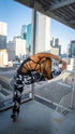 Midnight Yoga Bundles - Equilibrium Activewear