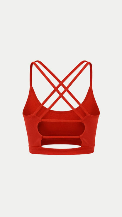 Terracota Velocity Bra
